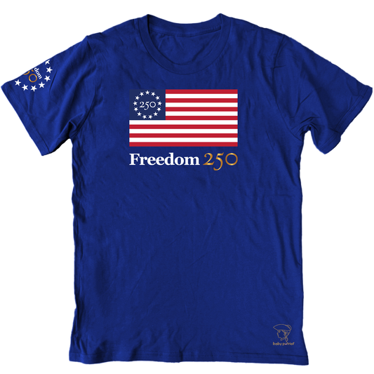 Freedom 250 Flag Short Sleeve Unisex T-shirt